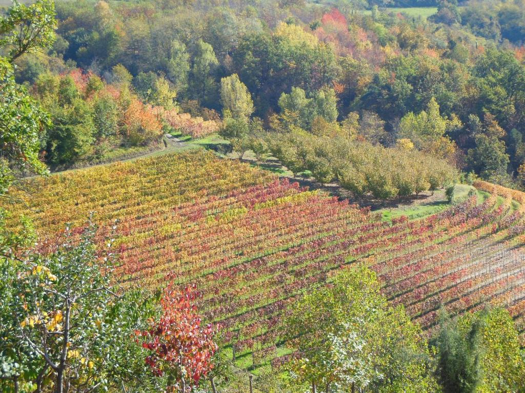 Agriturismo Affittacamere Barbarossa Dogliani Eksteriør bilde