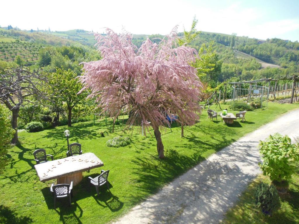 Agriturismo Affittacamere Barbarossa Dogliani Eksteriør bilde