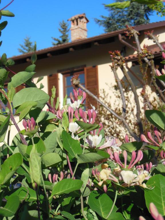 Agriturismo Affittacamere Barbarossa Dogliani Eksteriør bilde