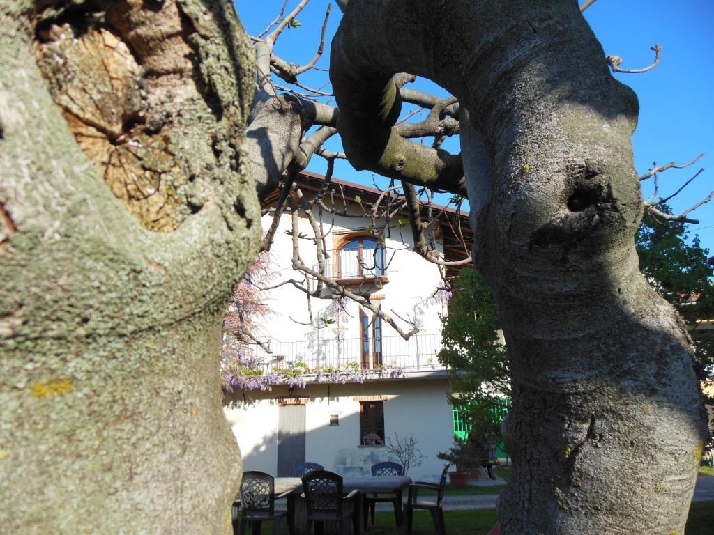 Agriturismo Affittacamere Barbarossa Dogliani Eksteriør bilde