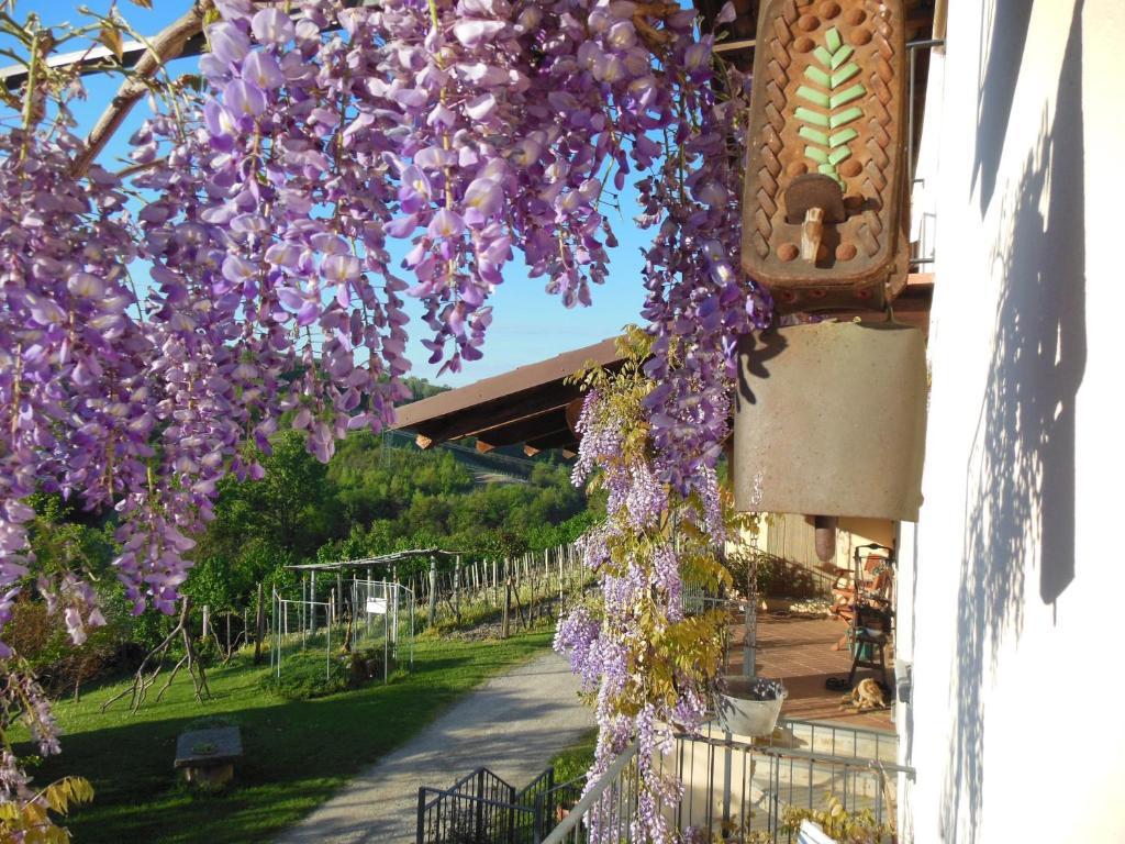 Agriturismo Affittacamere Barbarossa Dogliani Eksteriør bilde